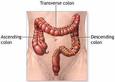 7 Effective Facts Of Colon Cleansing